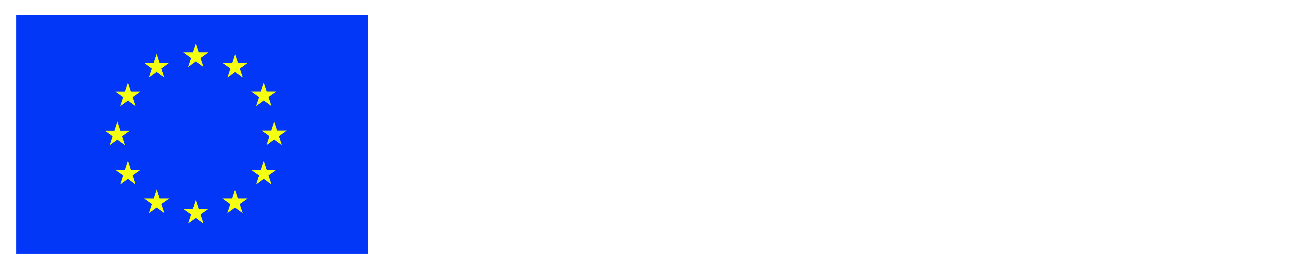 Co-funded by the European Union